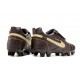 Fotbollsskor Nike Tiempo Legend 10 Elite FG Brun Guld